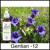 gentian-genciane-20ml_221-1