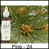 pine-pin-sylvestre-20ml_233