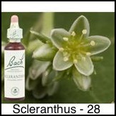 scleranthus-alene-20ml_237