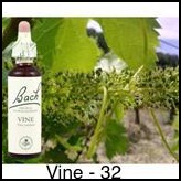 vine-vigne-20ml_240
