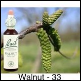 walnut-noyer-20ml_241